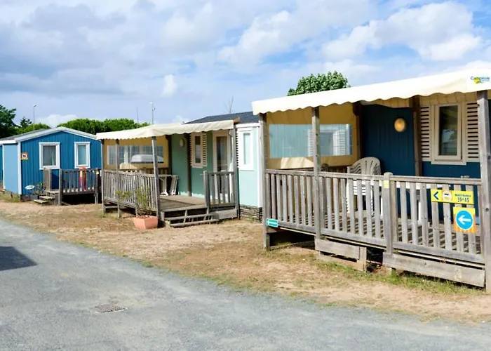 Le Platin La Redoute *