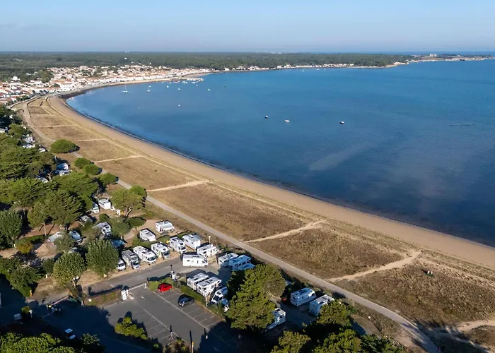 Le Platin La Redoute *